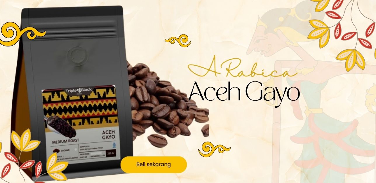 Kopi Arabica Gayo